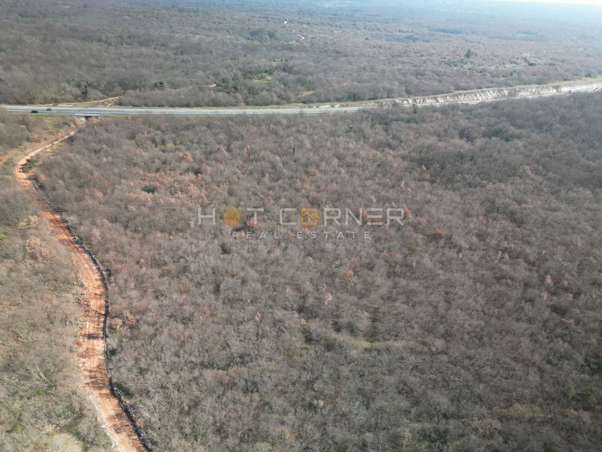 50.848 m² gozda in livad – le 3,5 €/m²!