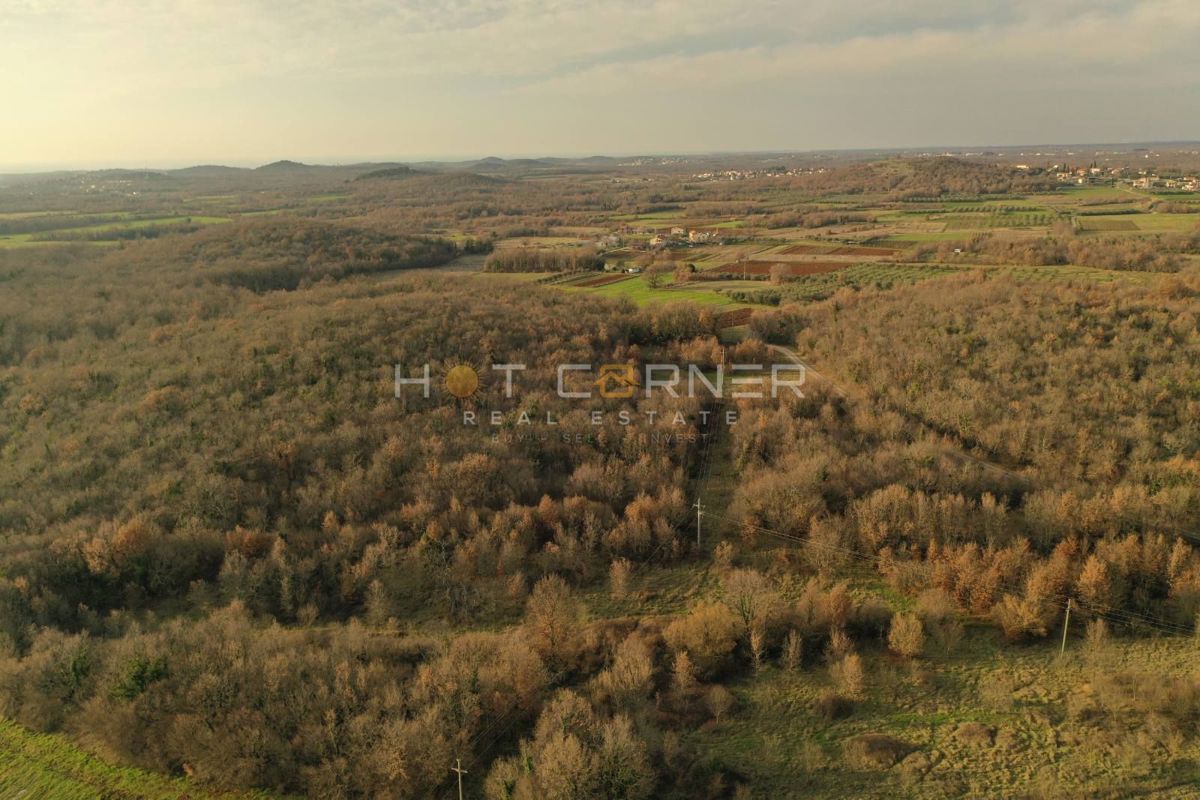 Kmetijsko zemljišče Vrsar, 8.000m2