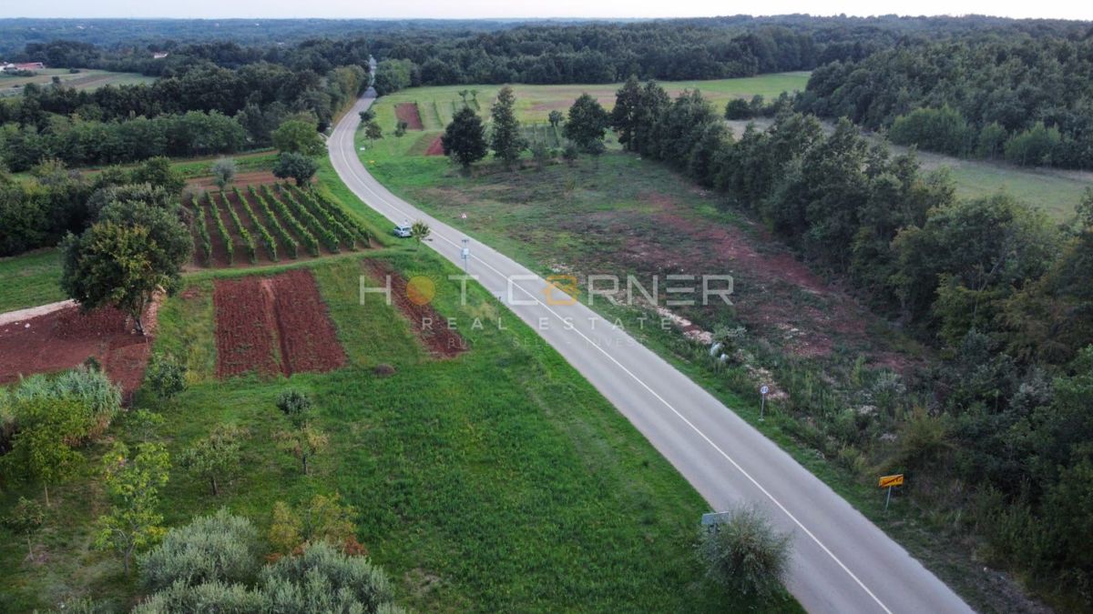 Barban, zazidljivo zemljišče za počitniško hišo, pogled na morje, 89 €/m²