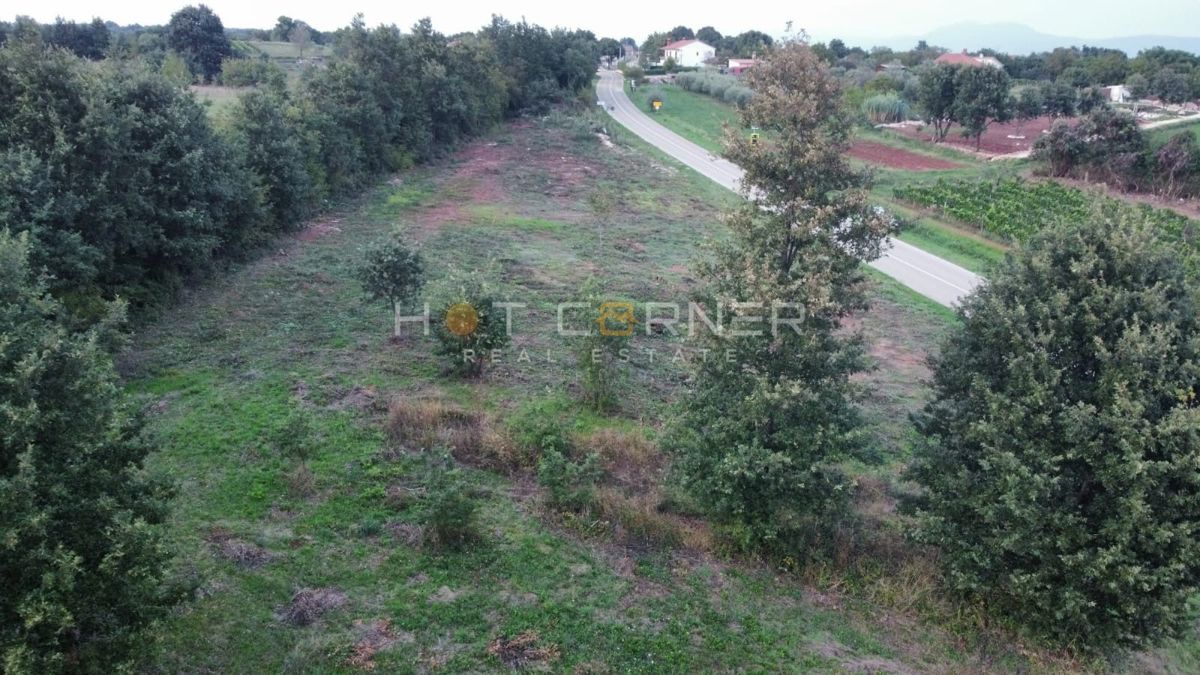 Barban, zazidljivo zemljišče za počitniško hišo, pogled na morje, 89 €/m²