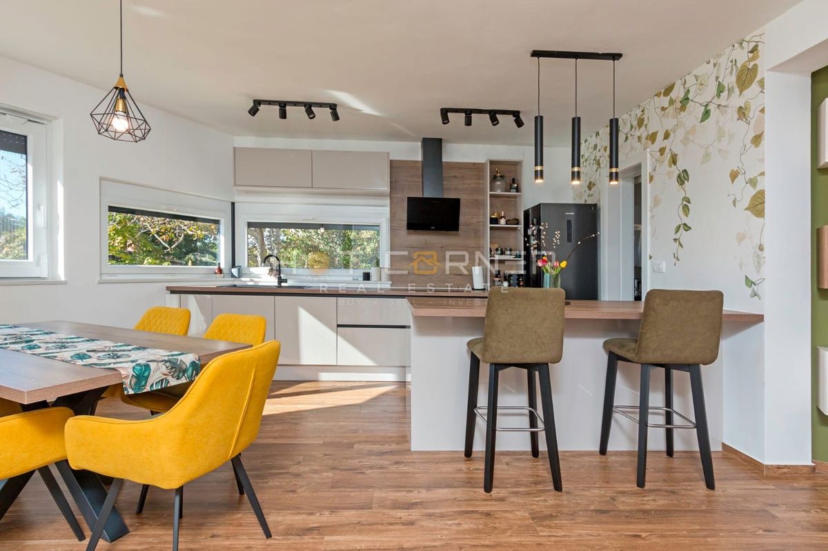 Sodobna družinska hiša z veliko parcelo, novogradnja