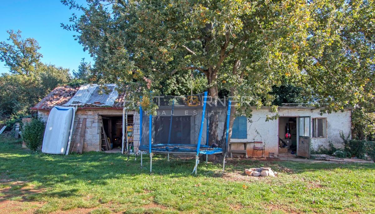 Sodobna družinska hiša z veliko parcelo, novogradnja