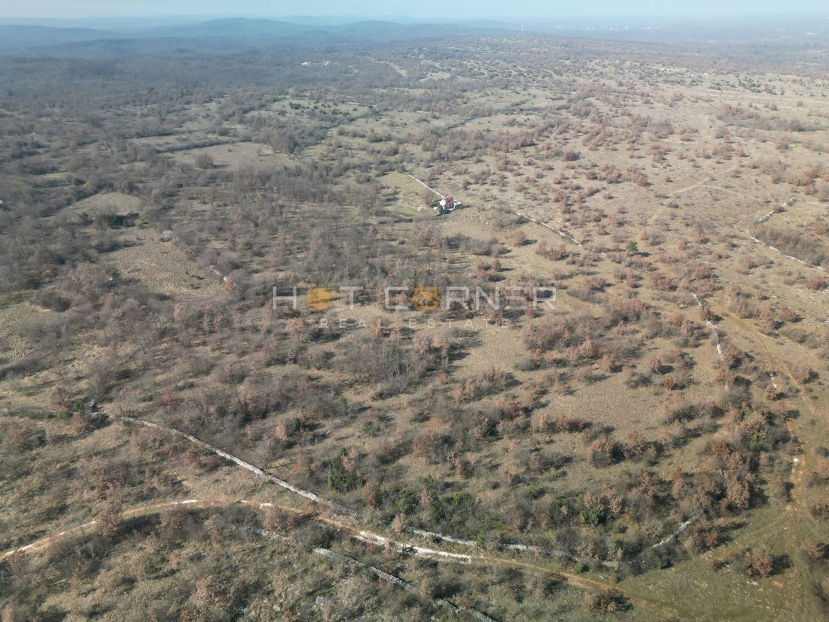 Istrsko kmetijsko zemljišče 20.742 m² – le 4 €/m²!