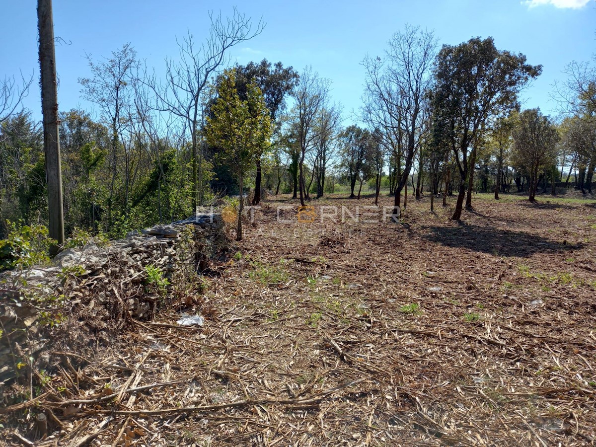 Zemljišče Rakalj, Marčana, 10.150m2