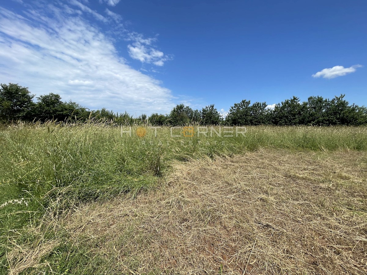 Kmetijsko zemljišče Vodnjan, 1.600m2