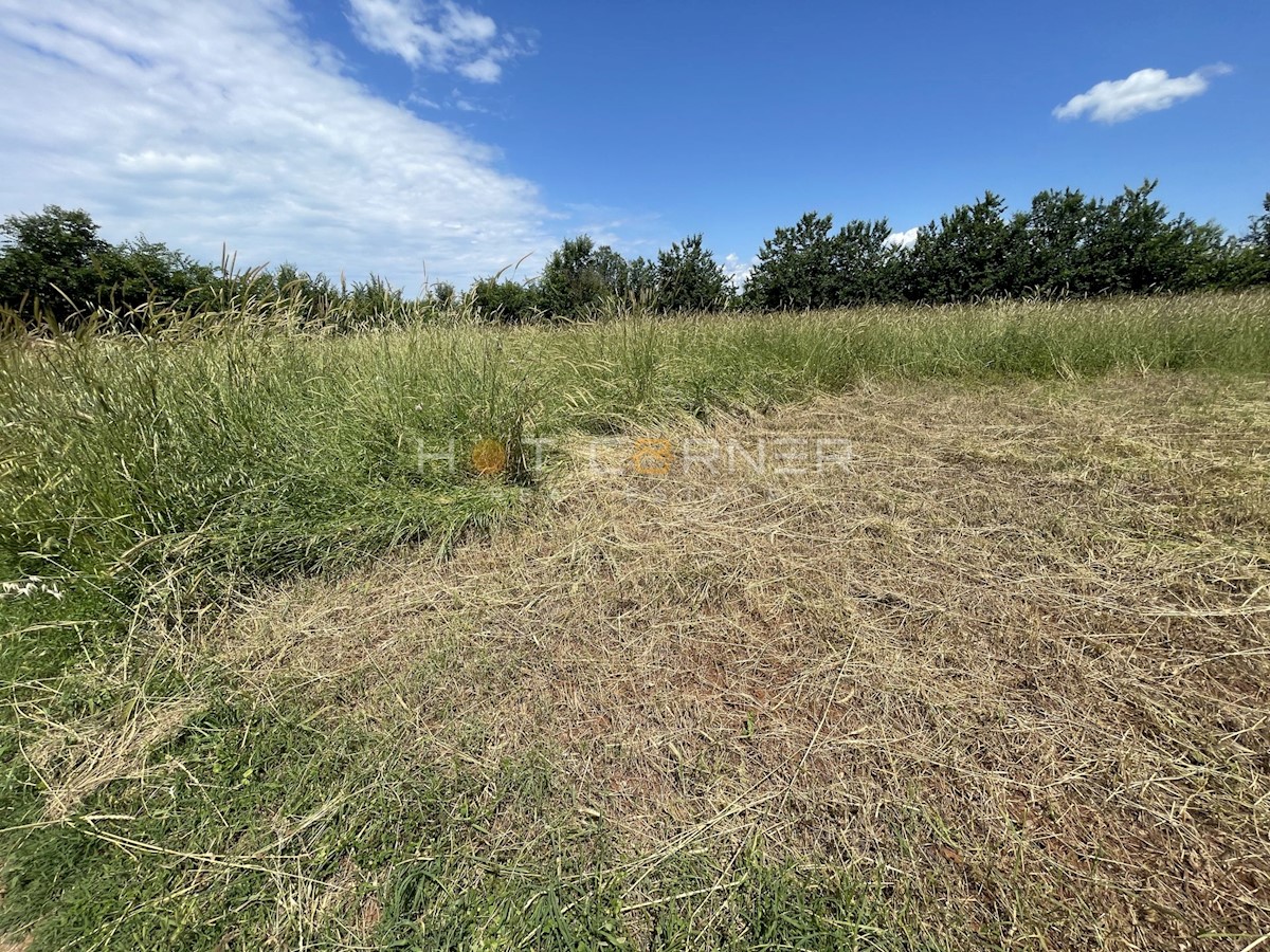 Kmetijsko zemljišče Vodnjan, 1.600m2