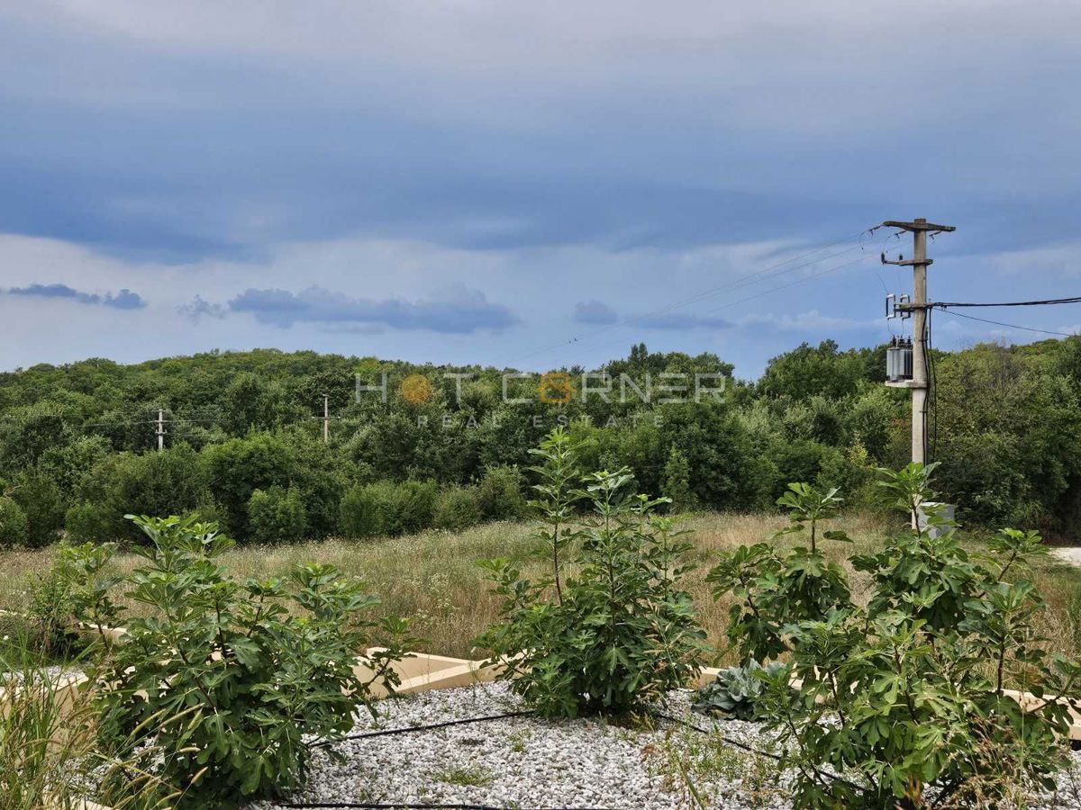 Kmetijsko zemljišče Vrsar, 36.000m2