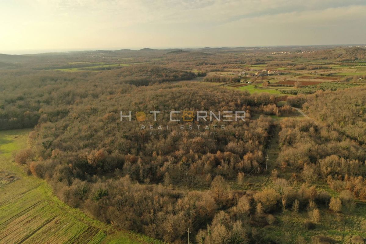 Kmetijsko zemljišče Vrsar, 36.000m2