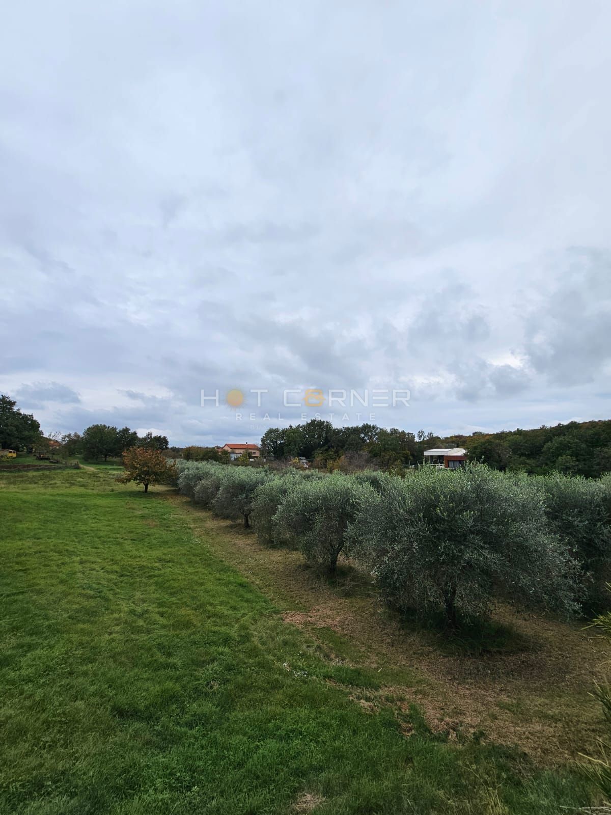 Čudovita zazidljiva parcela v bližini Rovinja – 5.060 m²