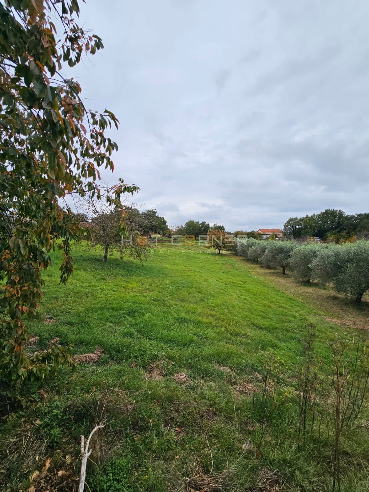 Čudovita zazidljiva parcela v bližini Rovinja – 5.060 m²