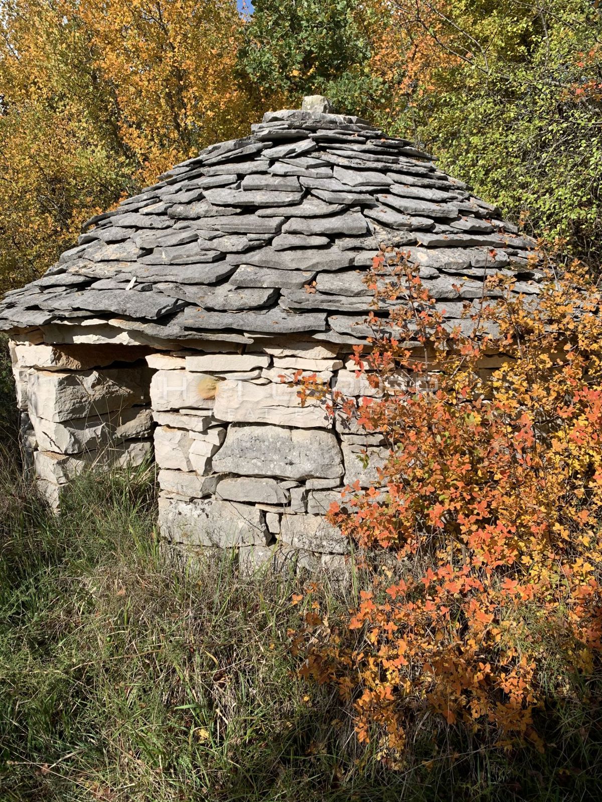 Zemljišče Cukrići, Svetvinčenat, 24.000m2