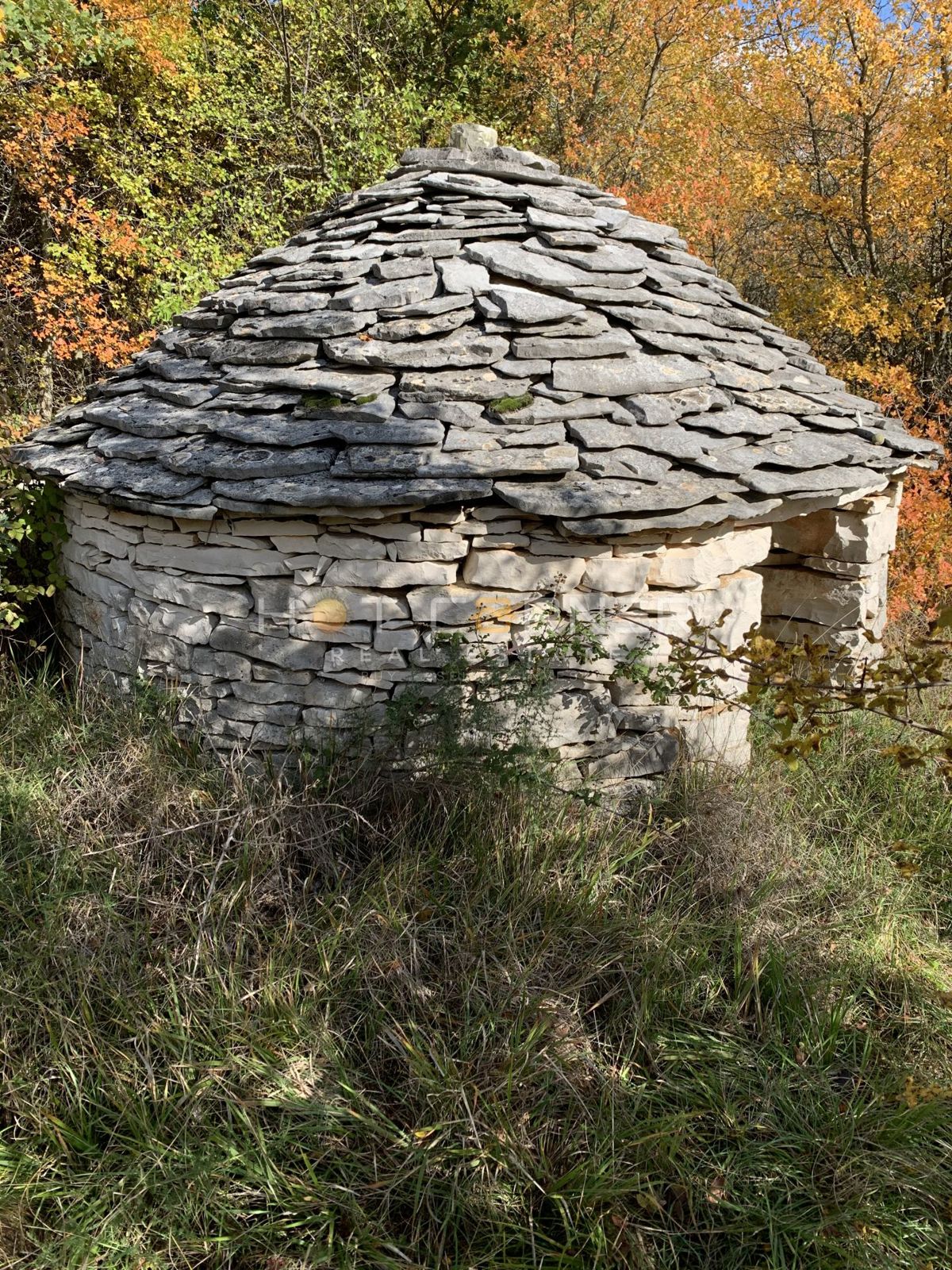 Zemljišče Cukrići, Svetvinčenat, 24.000m2