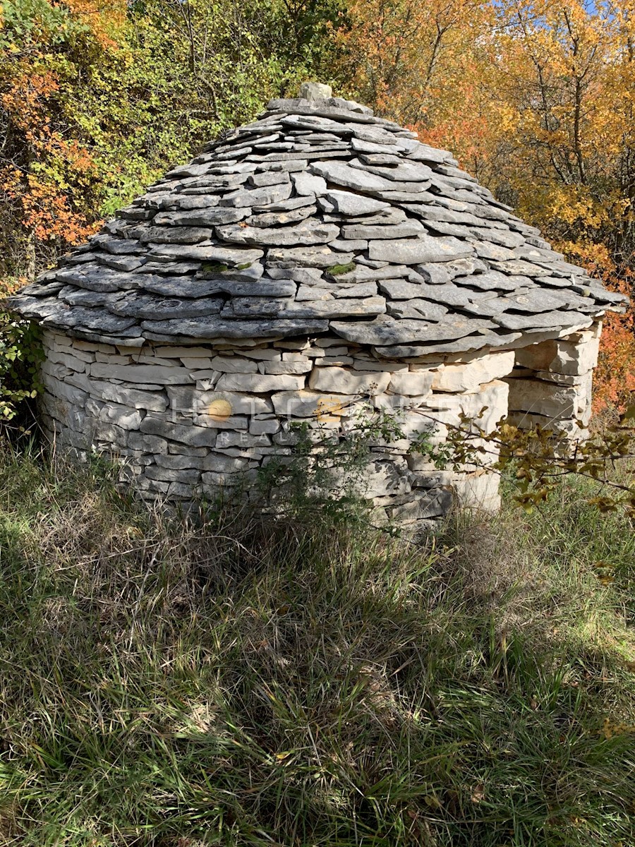 Zemljišče Cukrići, Svetvinčenat, 24.000m2