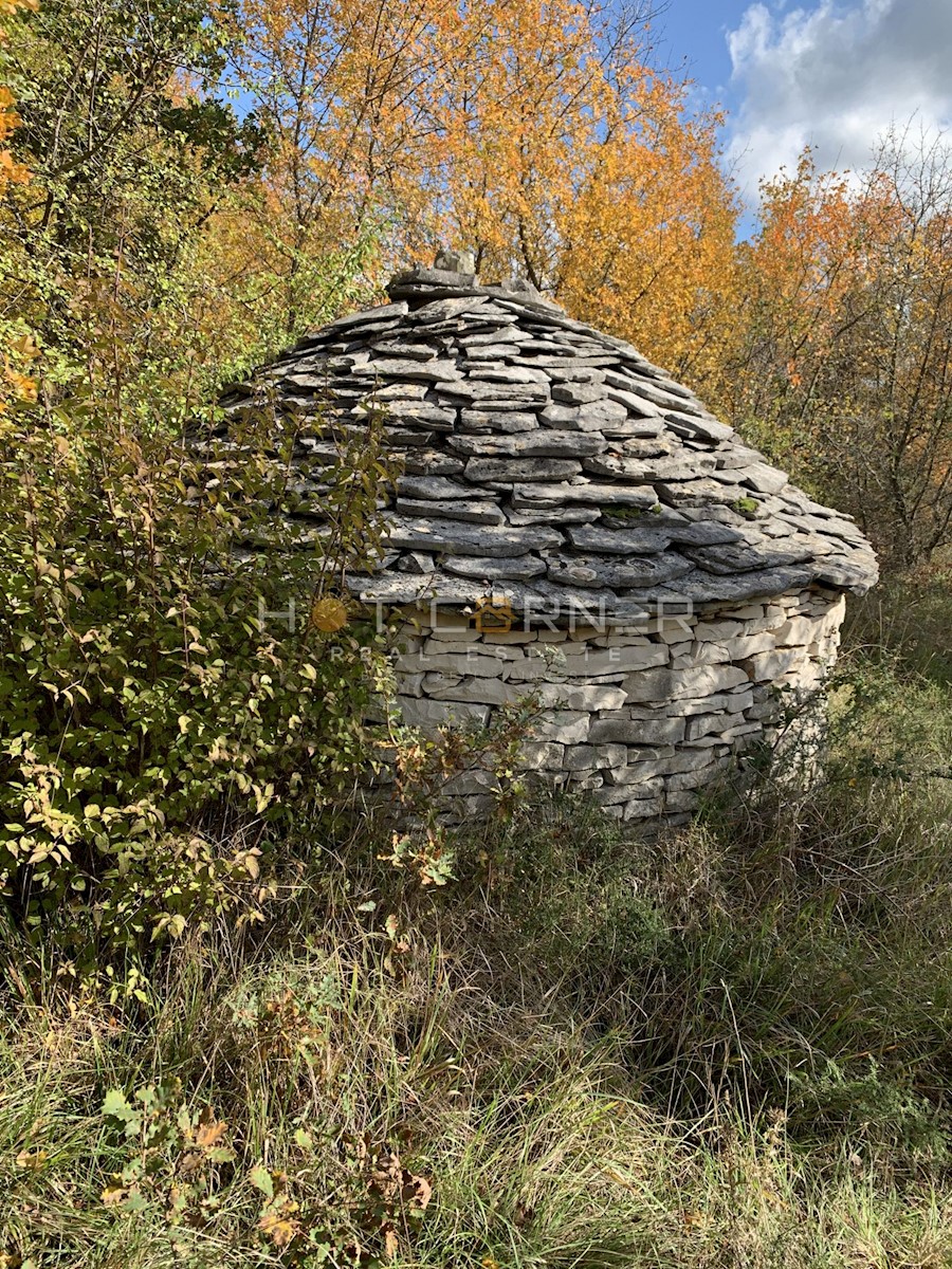 Zemljišče Cukrići, Svetvinčenat, 24.000m2