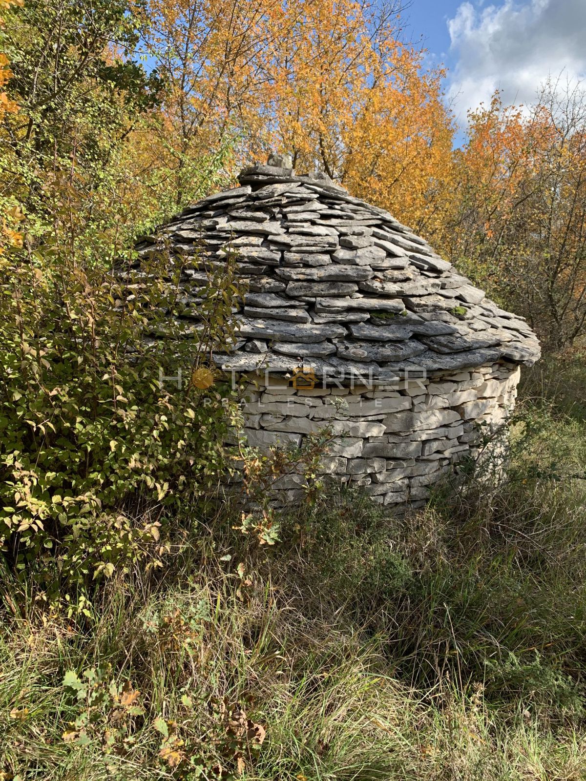 Zemljišče Cukrići, Svetvinčenat, 24.000m2