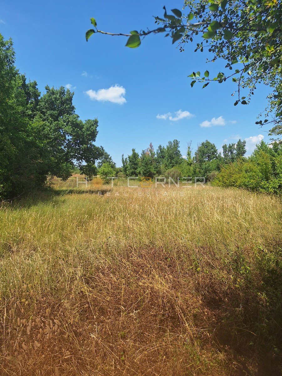 Zemljišče Vodnjan, 8.000m2