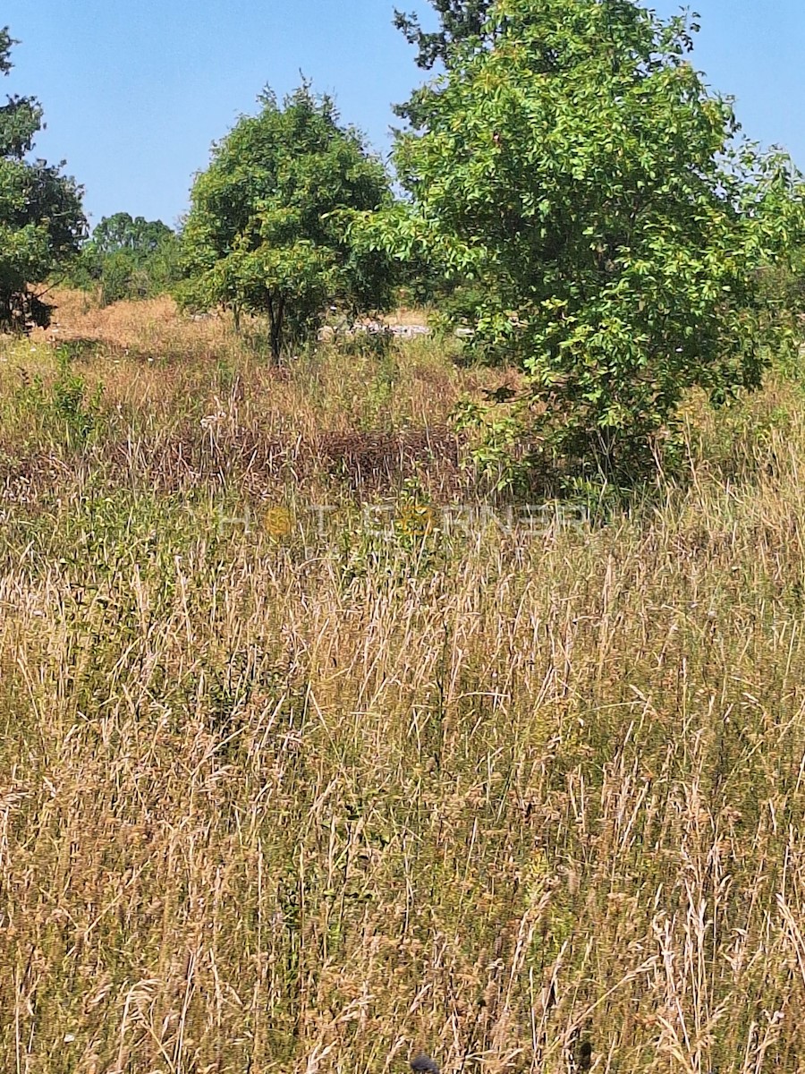 Zemljišče Vodnjan, 8.000m2