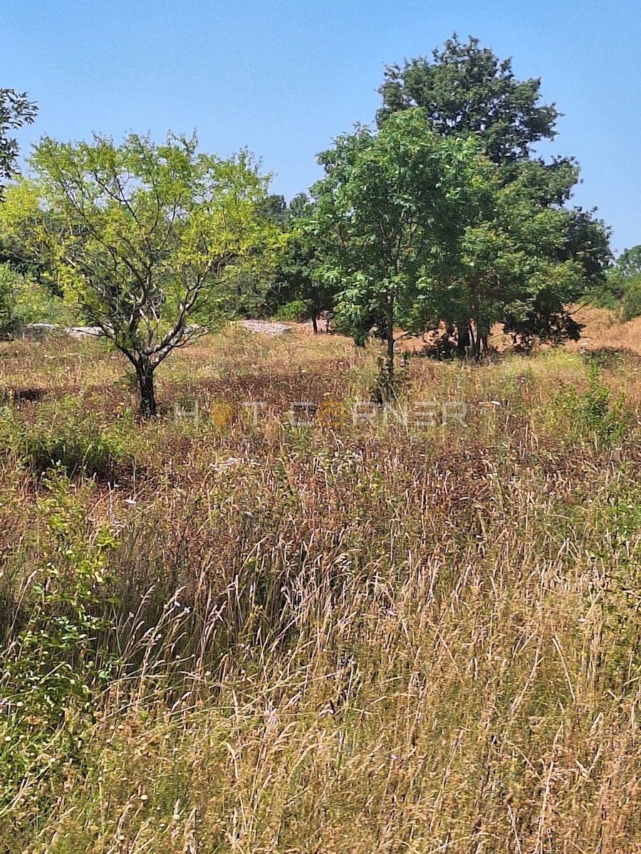 Zemljišče Vodnjan, 8.000m2