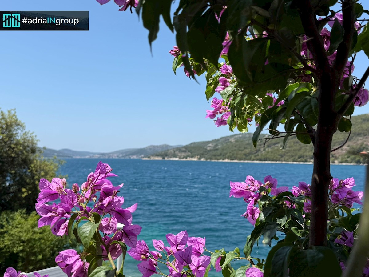 Hiša, PRVA VRSTA DO MORJA (3 apartmaji) – SEGET VRANJICA / video / preberi opis