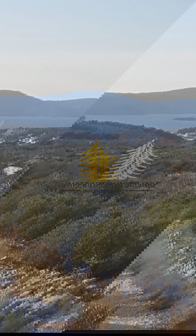 Zemljišče, prodaja, Milna, 34.000 m2, kmetijska površina