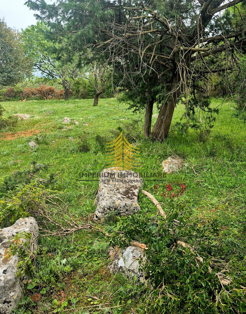 Zemljišče, prodaja, Sukošan, Debeljak, 767 m2, gradbeno zemljišče