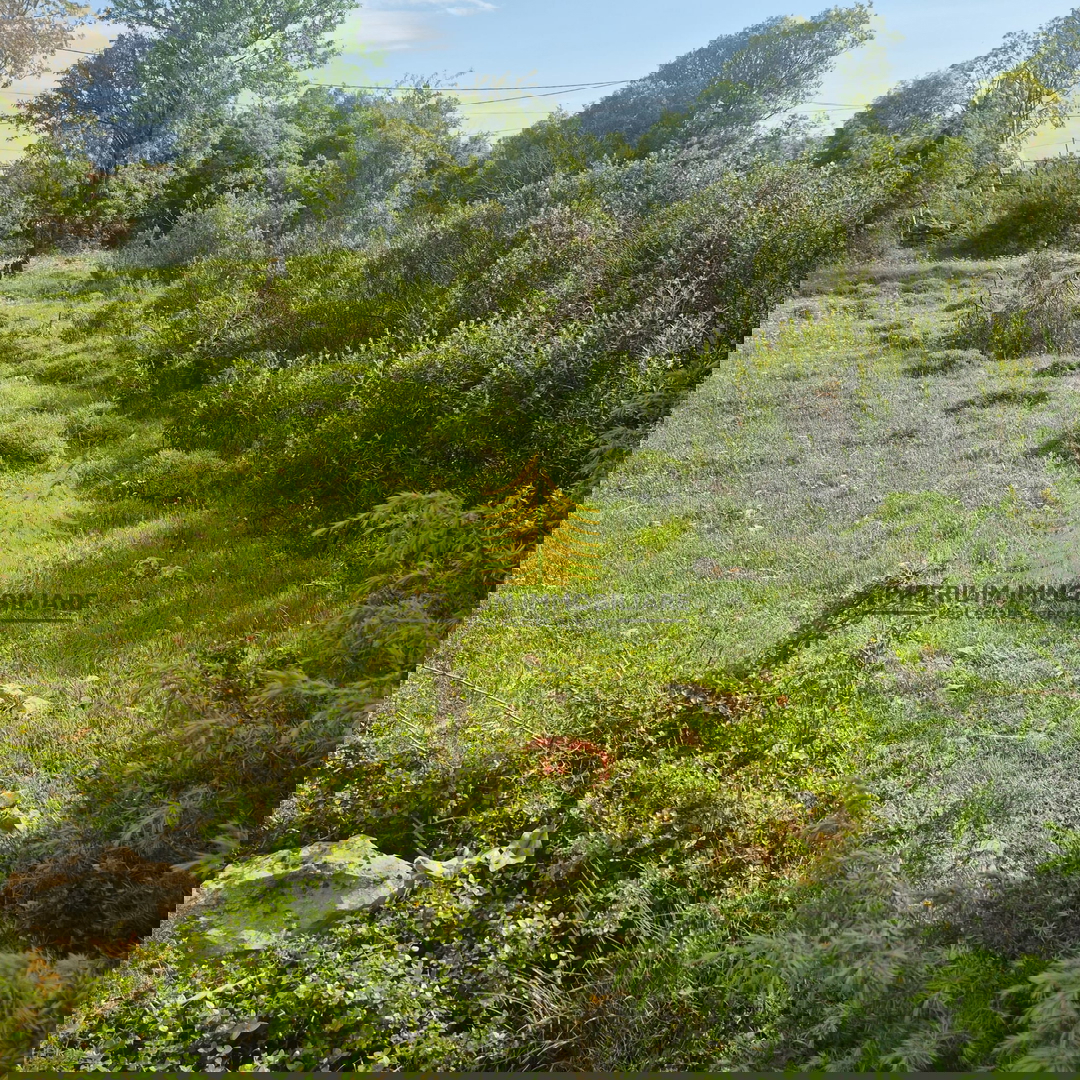 Zemljišče, prodaja, Sukošan, Debeljak, 767 m2, gradbeno zemljišče