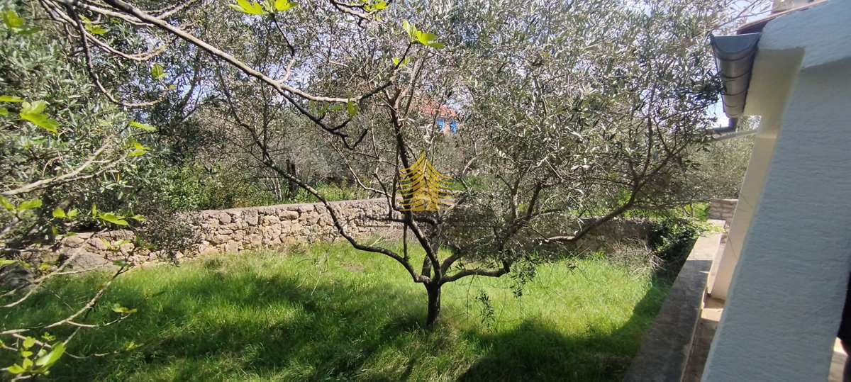 Hiša, prodaja, Pašman, Ždrelac, 144 m2, samostojna