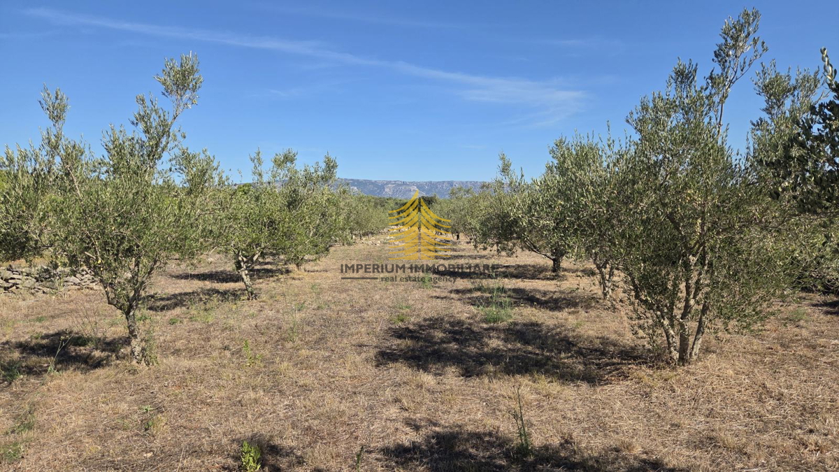 Zemljišče, prodaja, Stari Grad, 12.149 m2, kmetijska površina