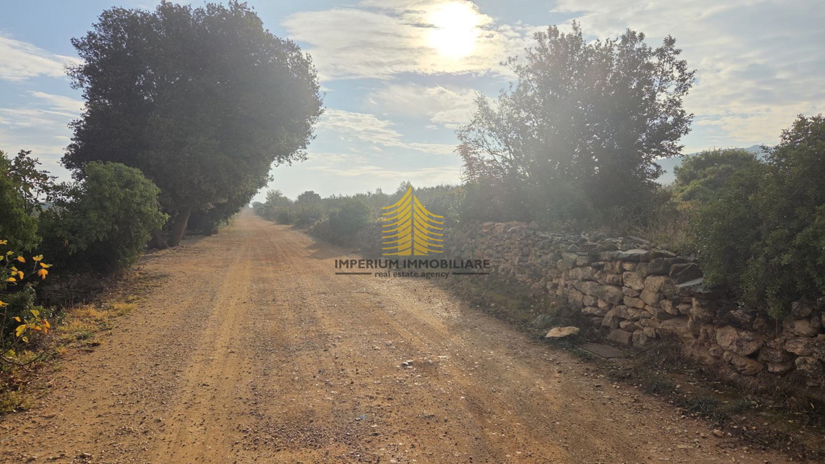 Zemljišče, prodaja, Stari Grad, 12.149 m2, kmetijska površina