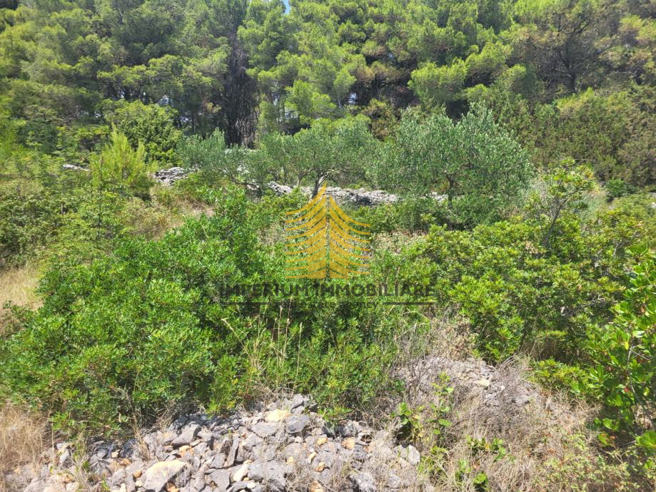 Zemljišče, prodaja, Sumartin, 914 m2, zazidljivo