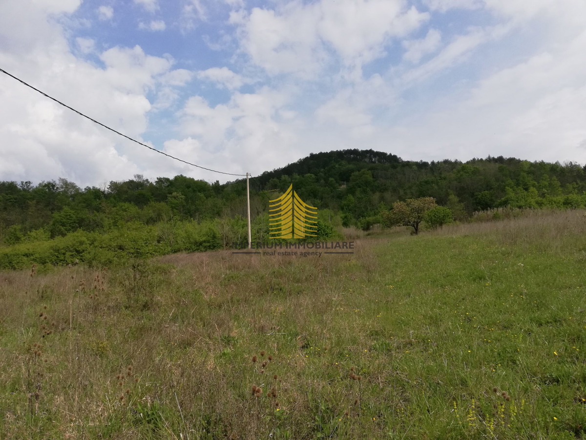 Zemljišče, prodaja, Motovun, Sveti Bartol, 53183 m2, zazidljivo zemljišče