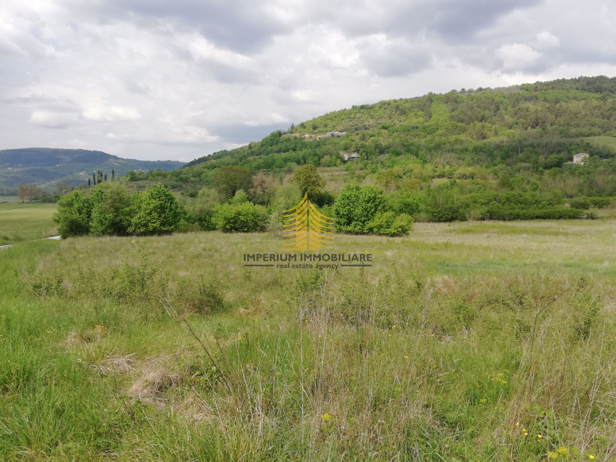 Zemljišče, prodaja, Motovun, Sveti Bartol, 53183 m2, zazidljivo zemljišče