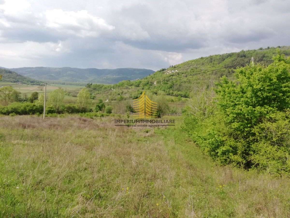 Zemljišče, prodaja, Motovun, Sveti Bartol, 53183 m2, zazidljivo zemljišče