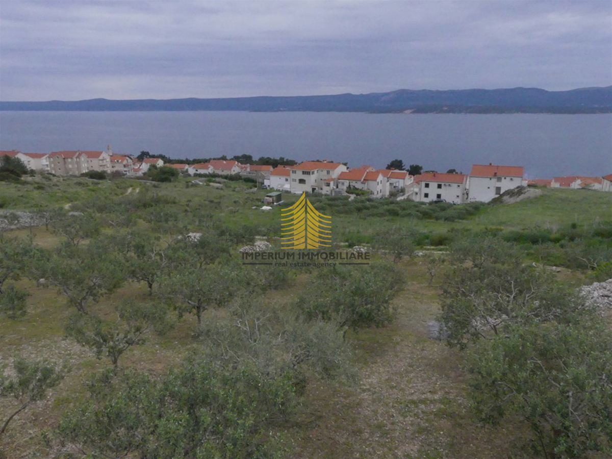 Zemljišče, Prodaja, Bol, 2000 m2, Kmetijska površina