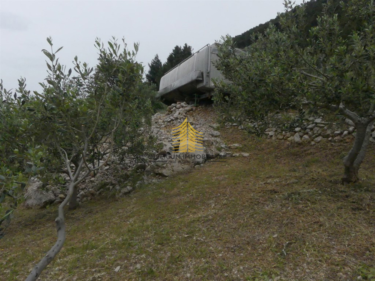 Zemljišče, Prodaja, Bol, 2000 m2, Kmetijska površina