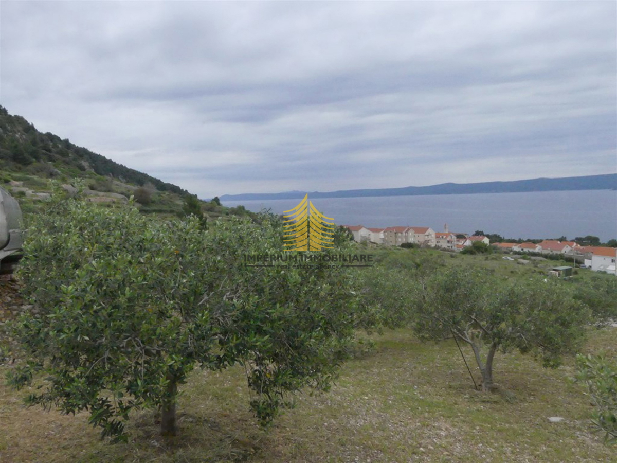 Zemljišče, Prodaja, Bol, 2000 m2, Kmetijska površina