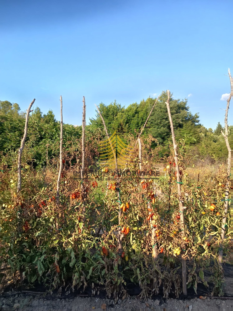 Hiša, Prodaja, Zadar, Diklo, 160 m2, V vrsti