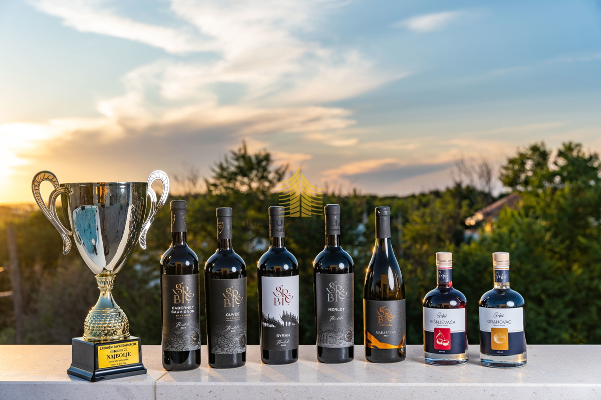 Hiša, prodaja, Privlaka, 450 m2, vila