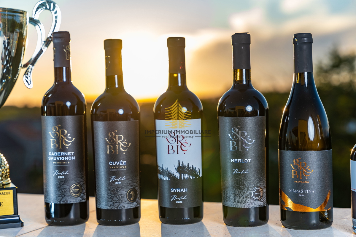 Hiša, prodaja, Privlaka, 450 m2, vila