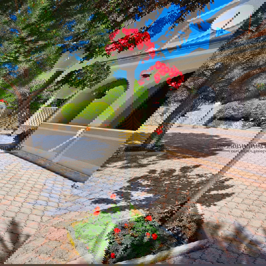 Hiša, prodaja, Marina, 470 m2, samostojna