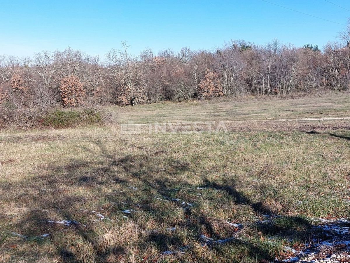 Lovreč, stanovanjsko poslovni objekt z velikim zemljiščem