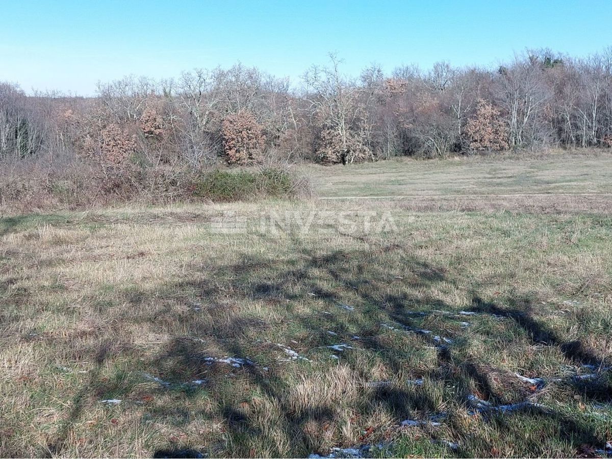 Lovreč, stanovanjsko poslovni objekt z velikim zemljiščem