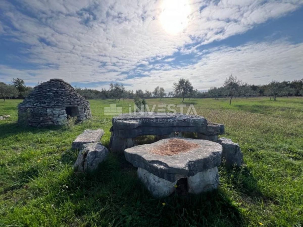 Vodnjan, kmetijsko zemljišče z oljkami