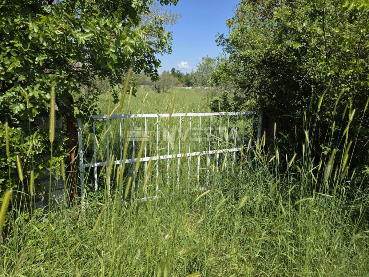 Okolica Fažane, prostorno in urejeno kmetijsko zemljišče