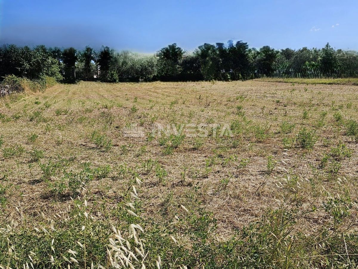 Vodnjan, atraktivno gradbeno zemljišče 2112 m²