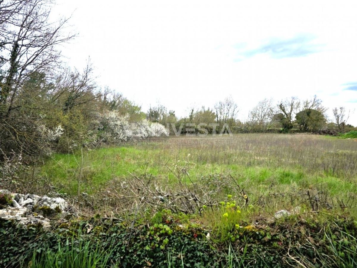 Zemljišče Kanfanar, 462m2