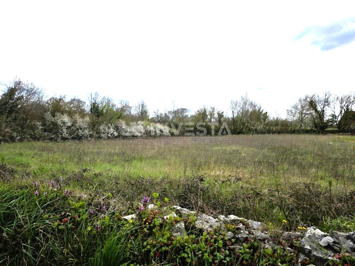 Zemljišče Kanfanar, 462m2