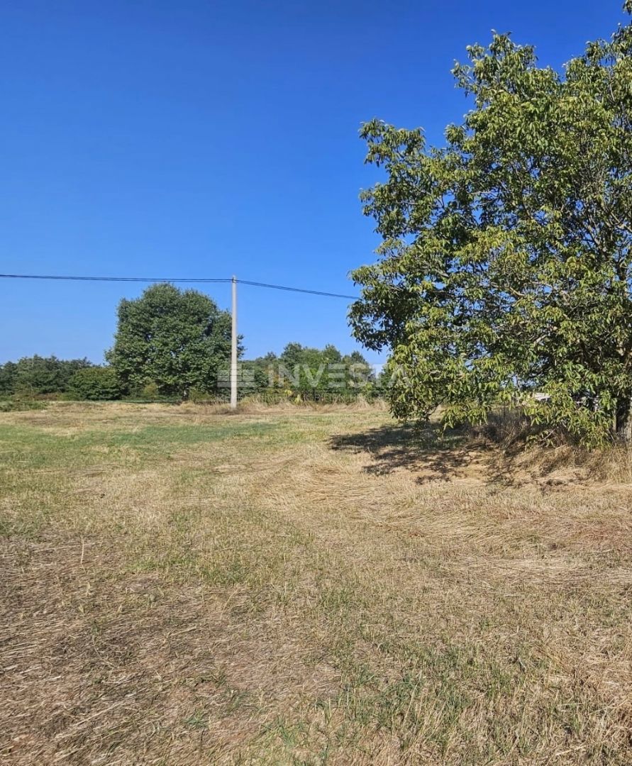 Zazidljivo Zemljišče 1.246 m² Blizu Žminja