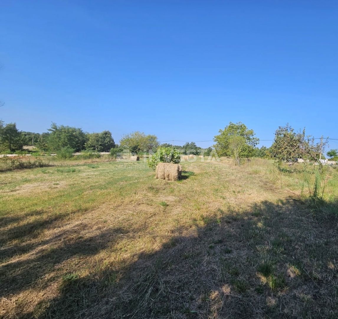 Zazidljivo Zemljišče 1.246 m² Blizu Žminja
