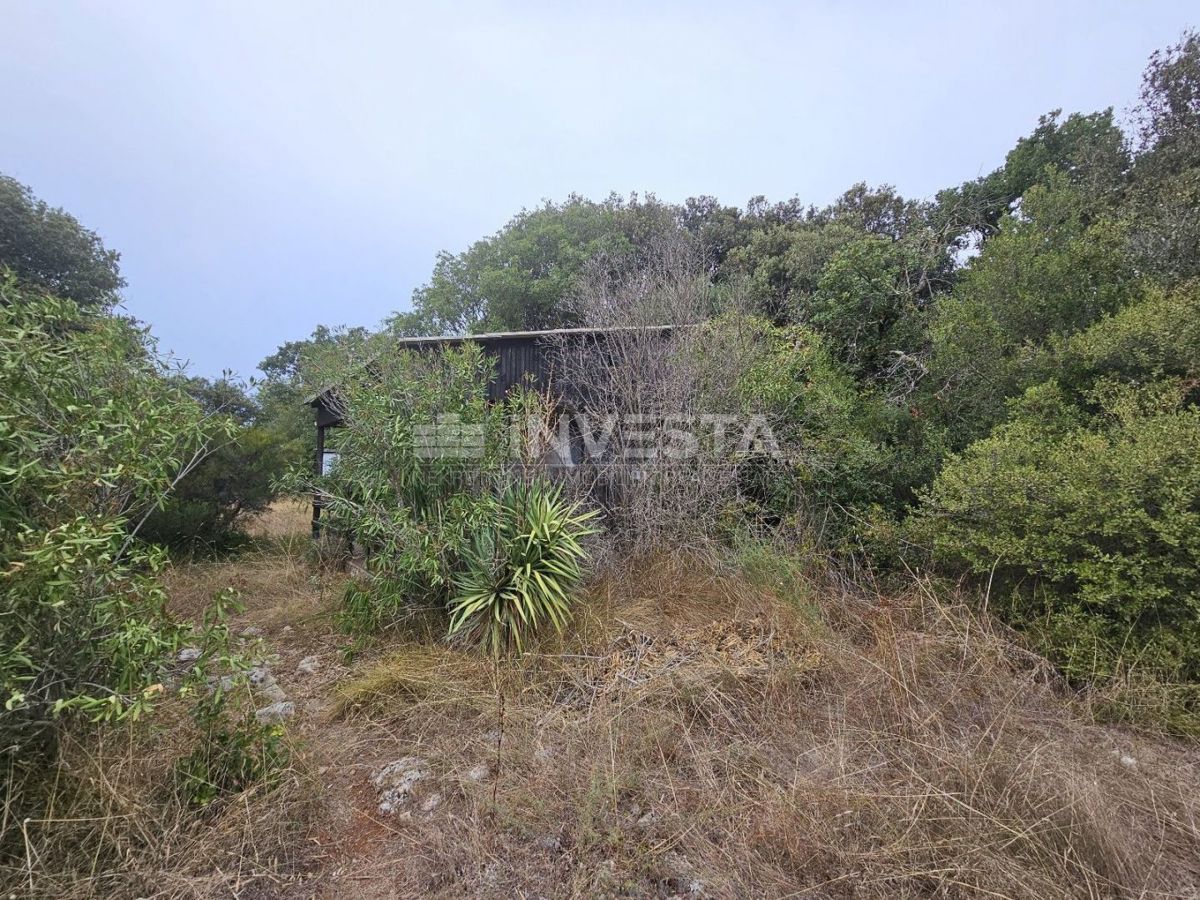 Barbariga, velika gradbena parcela 1.236 m²